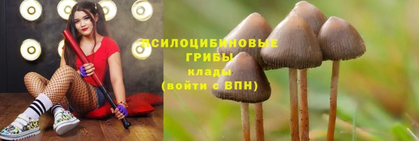 соль ск Алексеевка